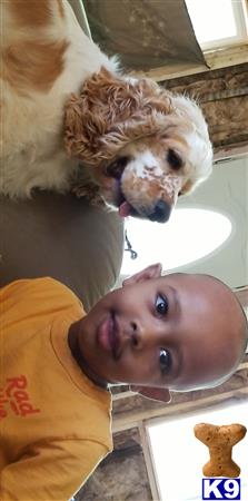 amilittle17 Picture 1
